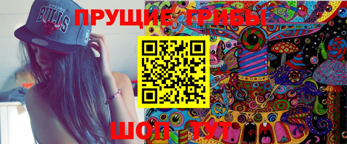 Галлюциногенные грибы Psilocybe Качканар