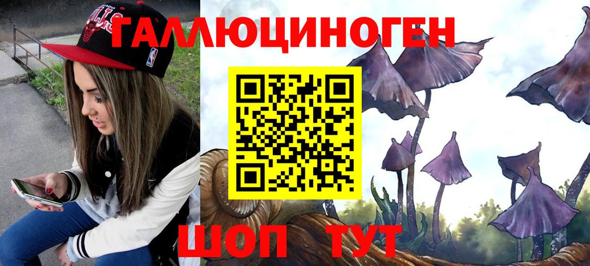 Качканар  наркотики  Вход с VPN  Галлюциногенные грибы мухоморы  Галлюциногенные грибы ЛСД 